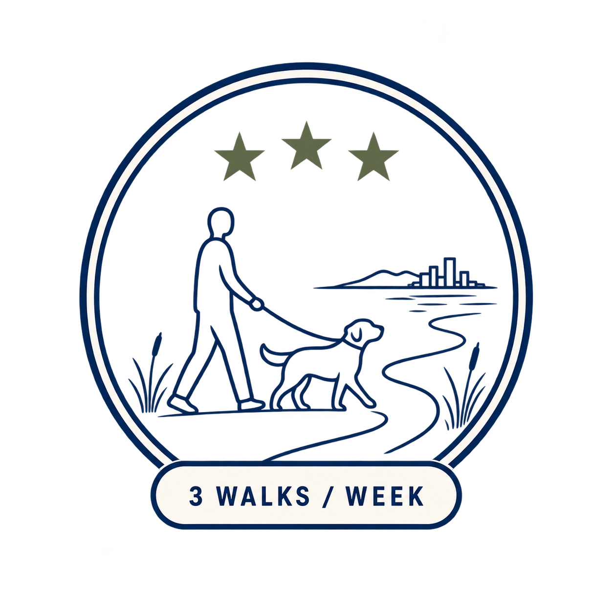 Steady Leader badge